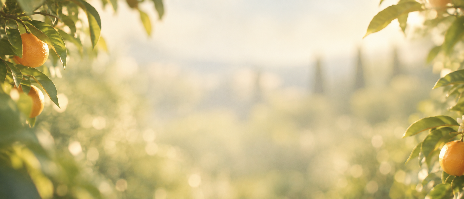 A bright, sunlit garden with a citrus palette. Closing call-to-action or signup section.