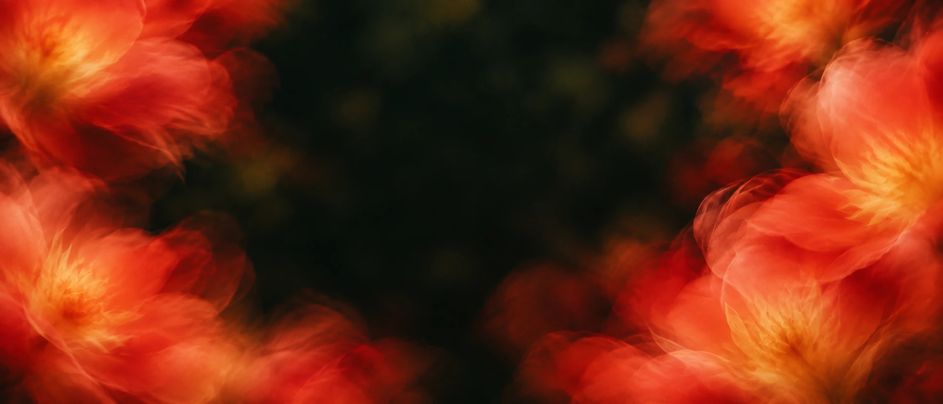 Luminous coral flowers framing a dark center