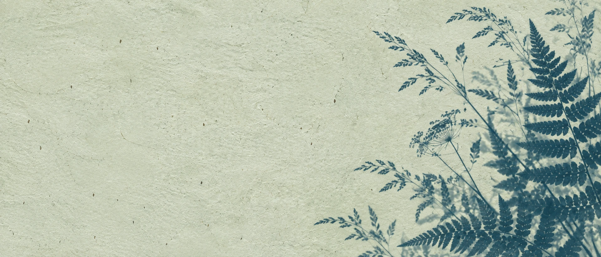 Botanical silhouettes in a restrained sage cyanotype treatment. Alternate hero with copy on left.