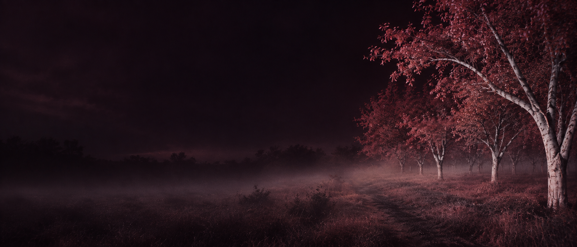An eerie infrared orchard, wine-red foliage and pale trees. Alternate hero with copy on left.
